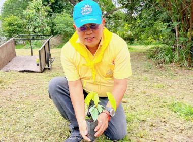 กิจกรรมปลูกต้นไม้เฉลิมพระเกียรติพระบาทสมเด็จพระเจ้าอยู่หัว ... พารามิเตอร์รูปภาพ 18